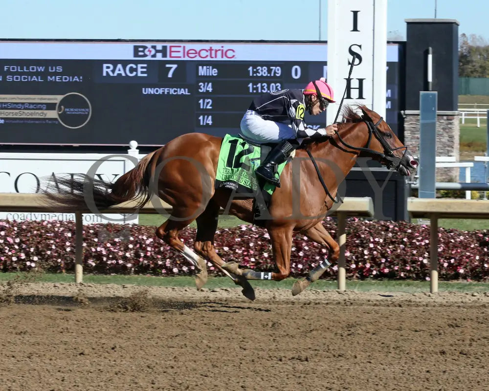 Unbridled Slope - Unreachable Star 5Th Running 10-26-24 R07 Horseshoe Indiana Finish 01 Sammantha