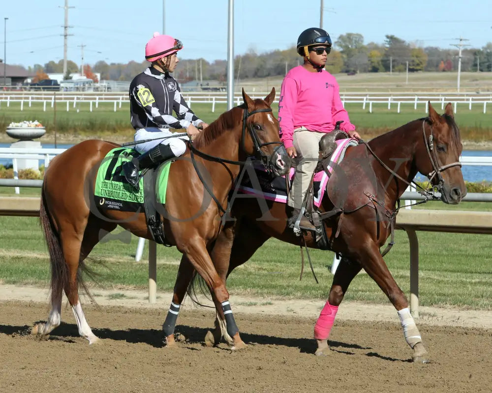 Unbridled Slope - Unreachable Star 5Th Running 10-26-24 R07 Horseshoe Indiana Post Parade 01 Devin