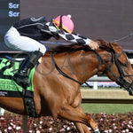 Unbridled Slope - Unreachable Star 5Th Running 10-26-24 R07 Horseshoe Indiana Tight Finish 01 Devin