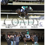 Under The Bed - 01-13-24 R05 Tp Turfway Park