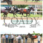 Under The Palms - 100Th Oaklawn Win For Kenneth Mcpeek 03 - 30 - 24 R05 Op Park