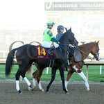 Under The Palms - The Cardinal 28Th Running 10-02-24 R09 Horseshoe Indiana Post Parade 01 Sammantha