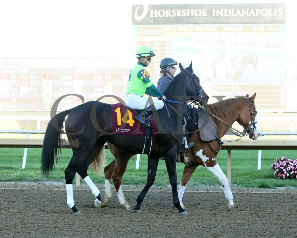 Under The Palms - The Cardinal 28Th Running 10-02-24 R09 Horseshoe Indiana Post Parade 01 Sammantha