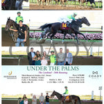 Under The Palms - The Cardinal 28Th Running 10-02-24 R09 Ind Indiana Grand