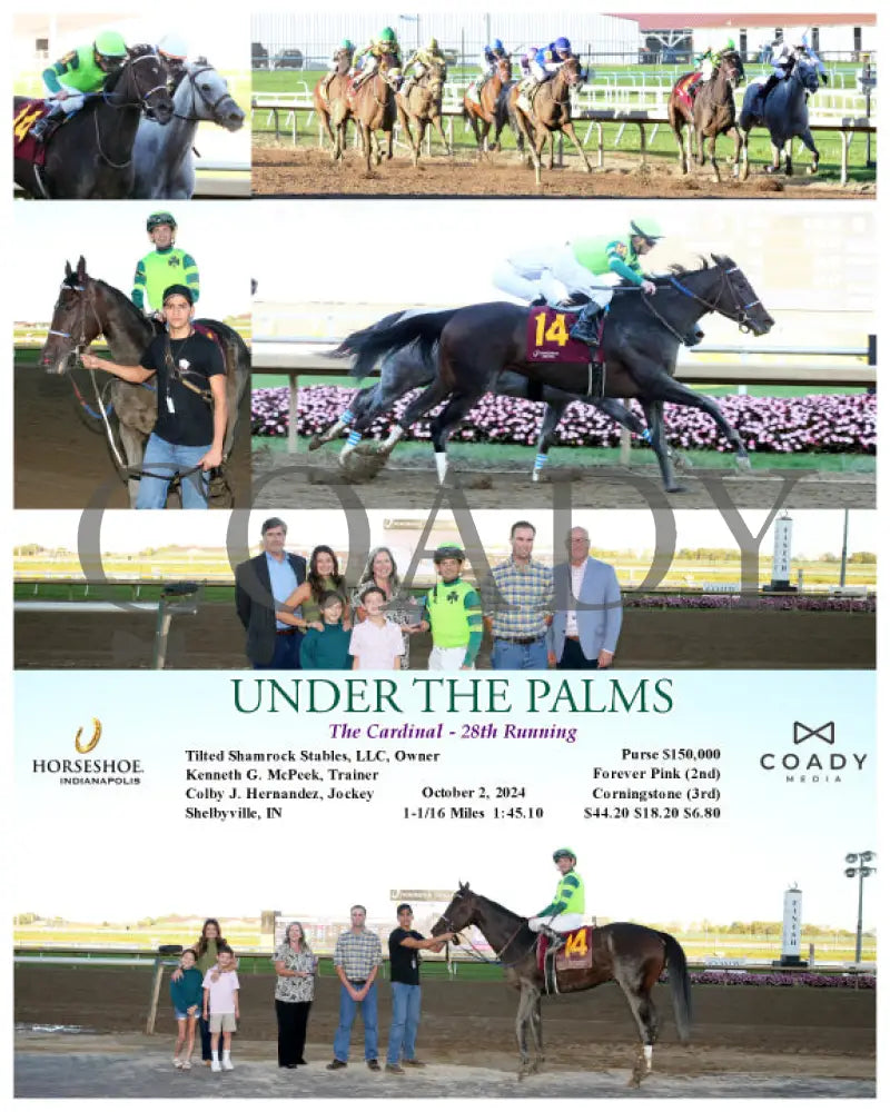 Under The Palms - The Cardinal 28Th Running 10-02-24 R09 Ind Indiana Grand