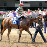 Vahva - The Chicago G3 34Th Running 06-22-24 R07 Cd Come Back 02 Churchill Downs