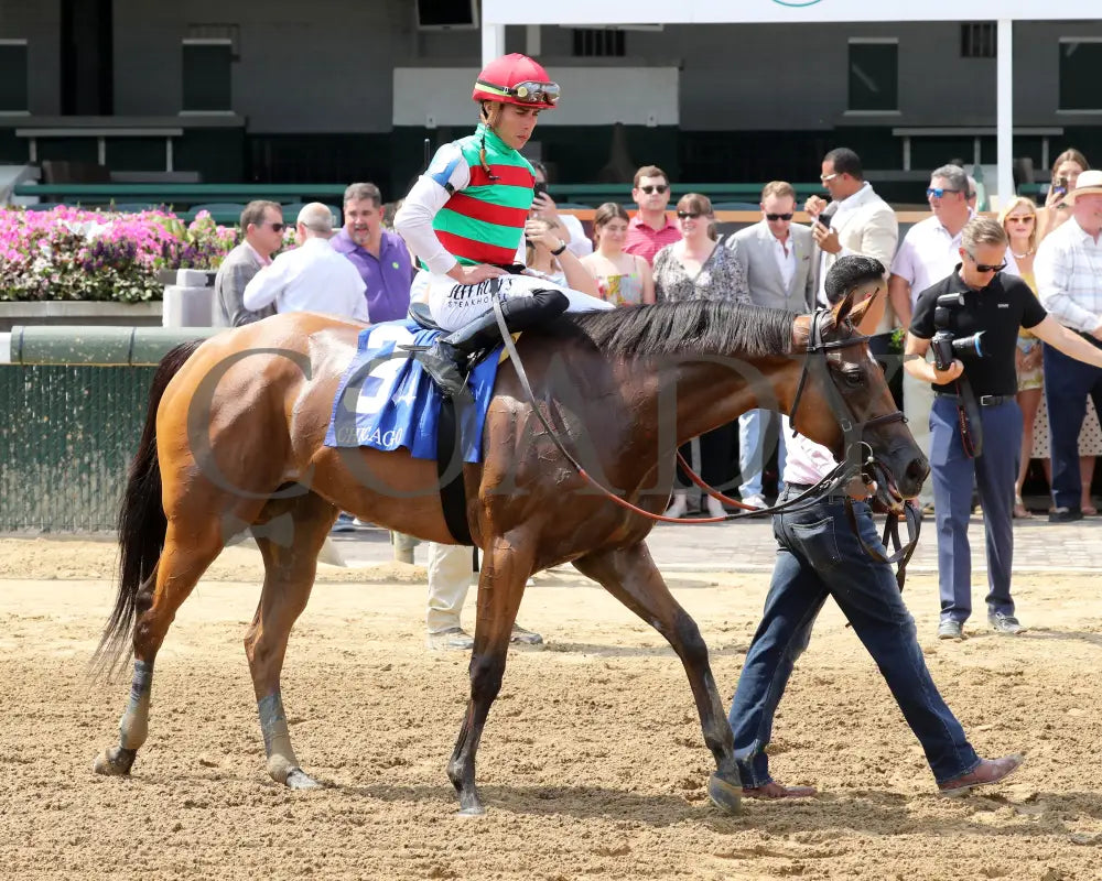 Vahva - The Chicago G3 34Th Running 06-22-24 R07 Cd Come Back 02 Churchill Downs