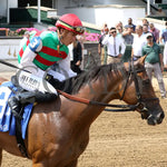 Vahva - The Chicago G3 34Th Running 06-22-24 R07 Cd Come Back 03 Churchill Downs