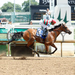 Vahva - The Chicago G3 34Th Running 06-22-24 R07 Cd Finish 01 Churchill Downs