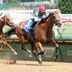 Vahva - The Chicago G3 34Th Running 06-22-24 R07 Cd Finish 02 Churchill Downs