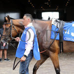 Vahva - The Chicago G3 34Th Running 06-22-24 R07 Cd Paddock 01 Churchill Downs