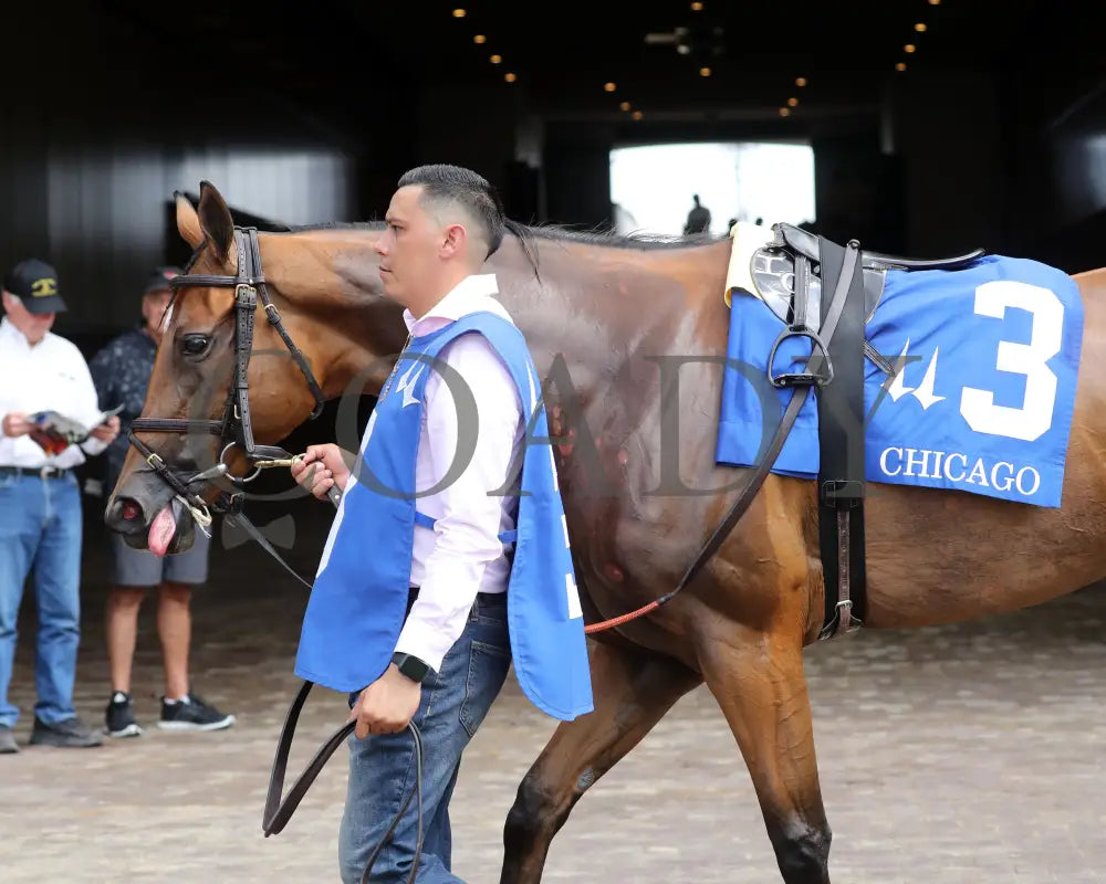 Vahva - The Chicago G3 34Th Running 06-22-24 R07 Cd Paddock 01 Churchill Downs