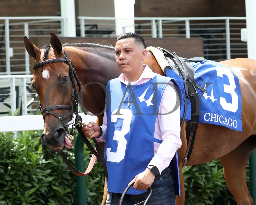 Vahva - The Chicago G3 34Th Running 06-22-24 R07 Cd Paddock 02 Churchill Downs