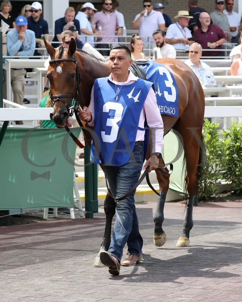 Vahva - The Chicago G3 34Th Running 06-22-24 R07 Cd Paddock 03 Churchill Downs