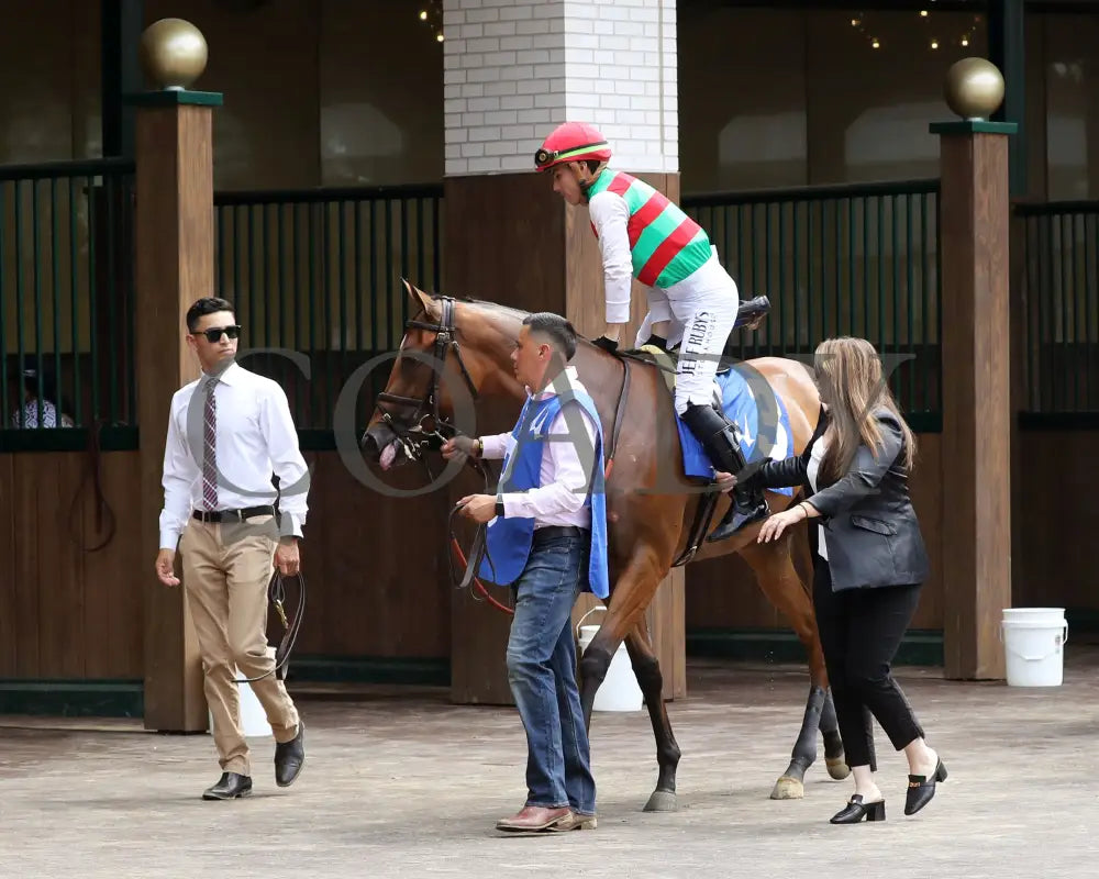 Vahva - The Chicago G3 34Th Running 06-22-24 R07 Cd Paddock 04 Churchill Downs