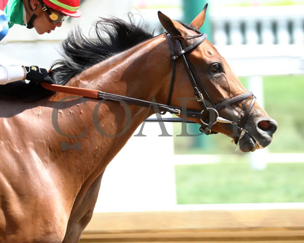 Vahva - The Chicago G3 34Th Running 06-22-24 R07 Cd Tight Finish 01 Churchill Downs