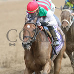 Vahva - The Derby City Distaff G1 05-04-24 R06 Churchill Downs Inside Finish 01 John Gallagher