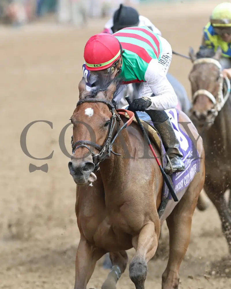 Vahva - The Derby City Distaff G1 05-04-24 R06 Churchill Downs Inside Finish 01 John Gallagher