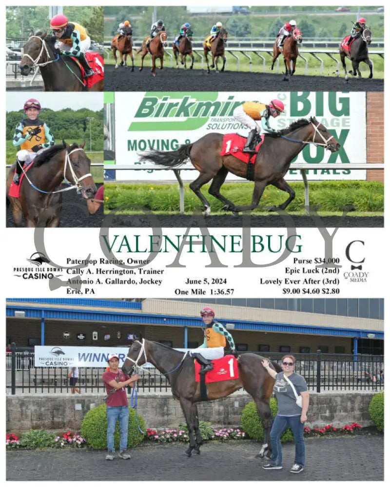 Valentine Bug - 06-05-24 R07 Pid Presque Isle Downs