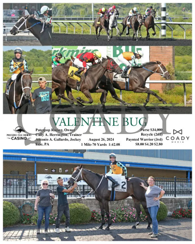 Valentine Bug - 08-26-24 R05 Pid Presque Isle Downs