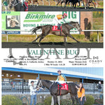 Valentine Bug - 10-21-24 R04 Pid Presque Isle Downs