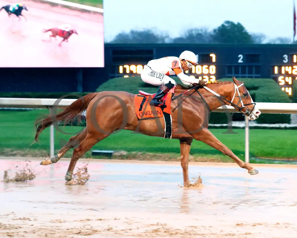 Valentine Candy - The Ozark Stakes 1St Running 02-10-24 R10 Op Finish 01 Oaklawn Park