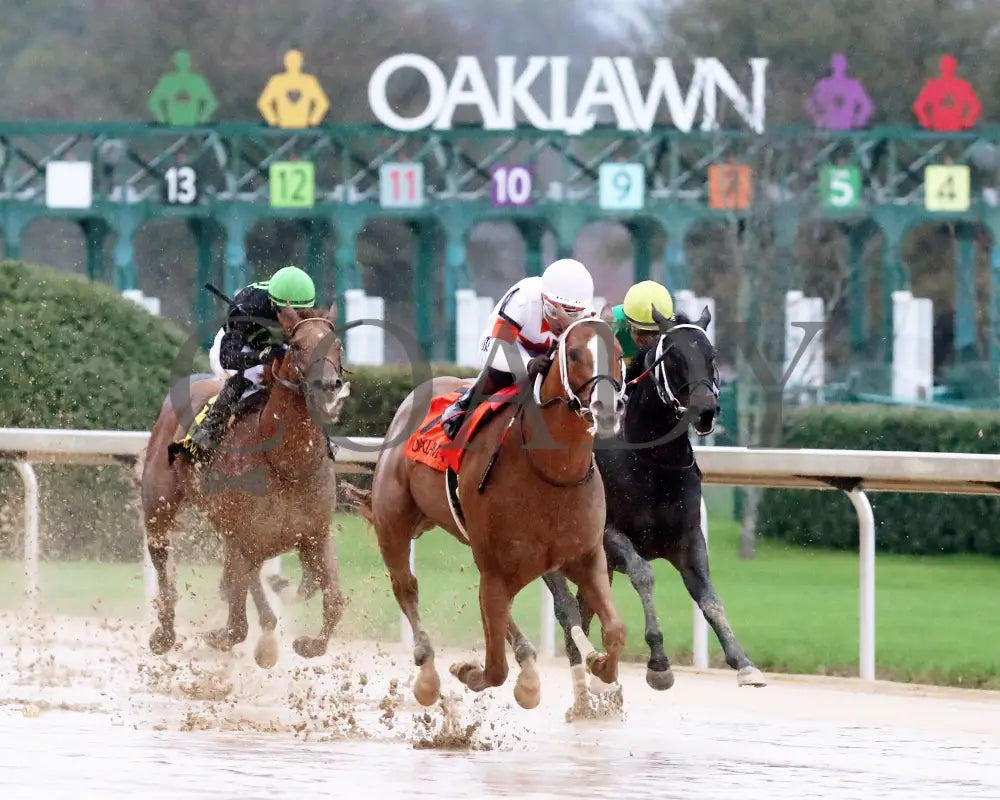 Valentine Candy - The Ozark Stakes 1St Running 02-10-24 R10 Op Finish 04 Oaklawn Park