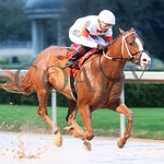 Valentine Candy - The Ozark Stakes 1St Running 02-10-24 R10 Op Finish 02 Oaklawn Park