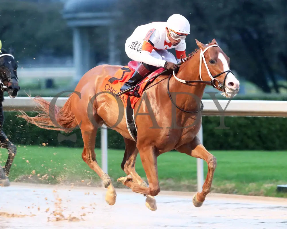 Valentine Candy - The Ozark Stakes 1St Running 02-10-24 R10 Op Finish 02 Oaklawn Park