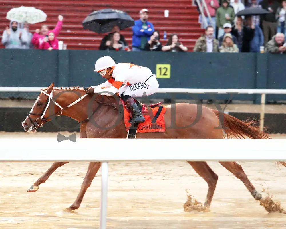 Valentine Candy - The Ozark Stakes 1St Running 02-10-24 R10 Op Inside Finish 01 Oaklawn Park