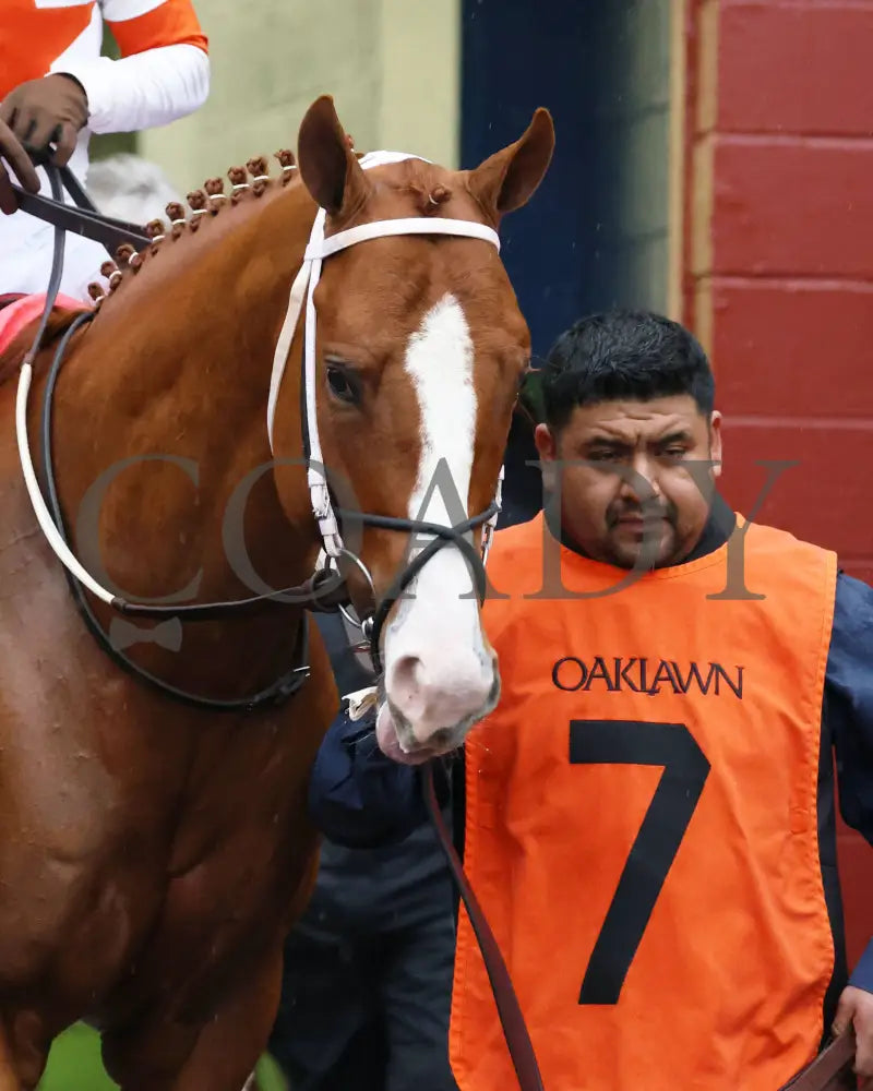 Valentine Candy - The Ozark Stakes 1St Running 02-10-24 R10 Op Paddock 02 Oaklawn Park