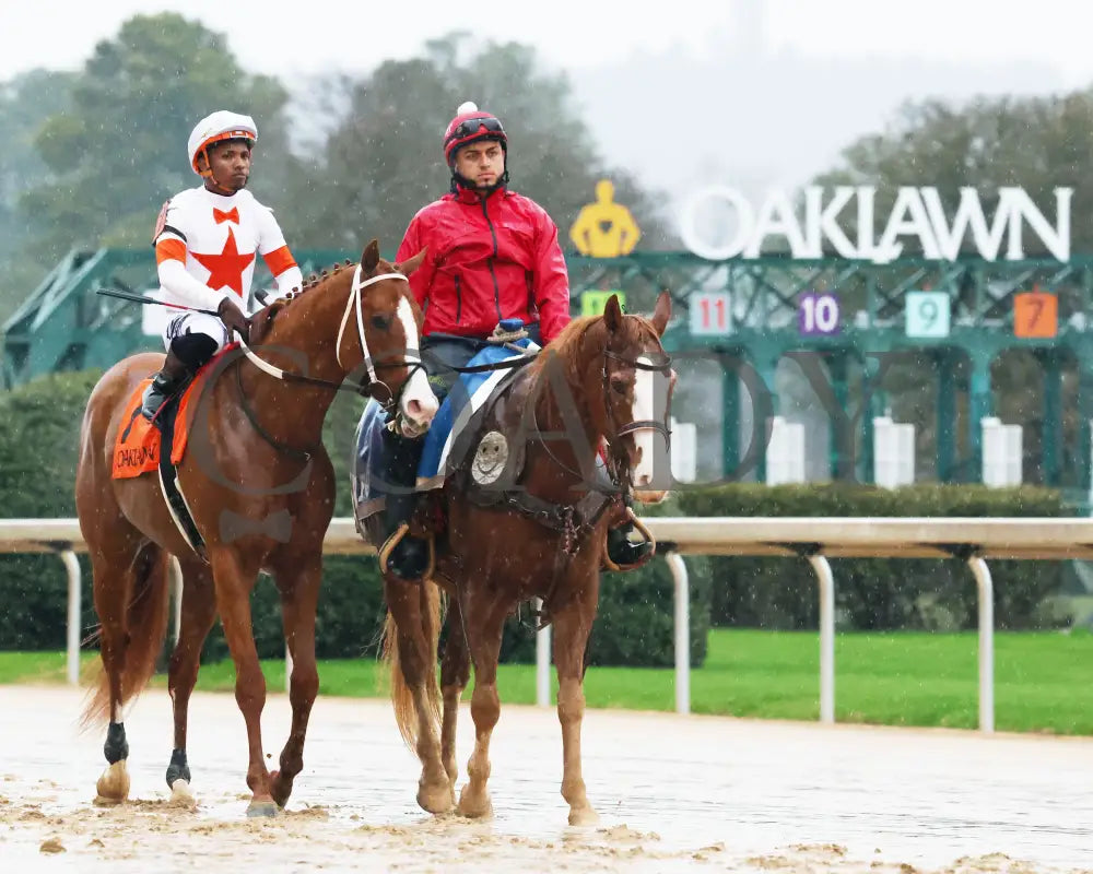 Valentine Candy - The Ozark Stakes 1St Running 02-10-24 R10 Op Post Parade 01 Oaklawn Park