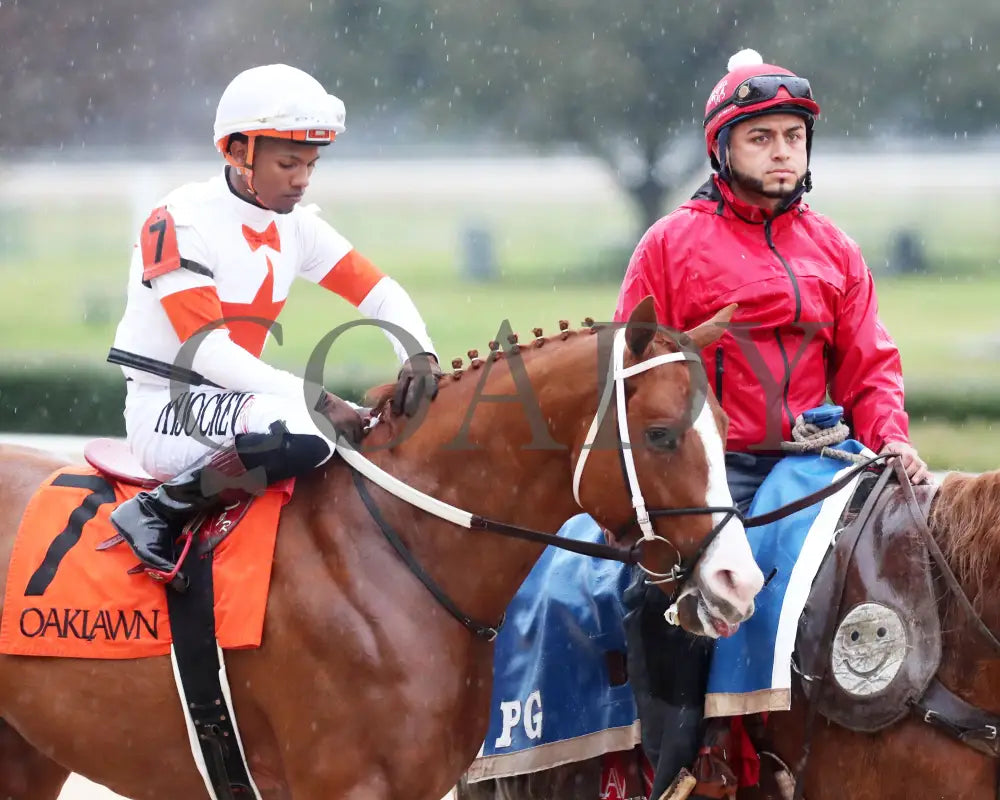 Valentine Candy - The Ozark Stakes 1St Running 02-10-24 R10 Op Post Parade 03 Oaklawn Park