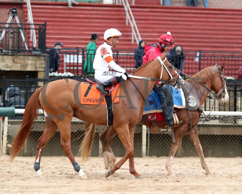 Valentine Candy - The Ozark Stakes 1St Running 02-10-24 R10 Op Post Parade 04 Oaklawn Park