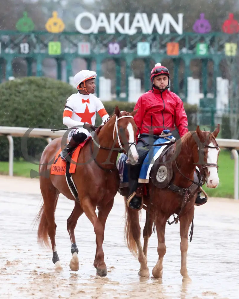 Valentine Candy - The Ozark Stakes 1St Running 02-10-24 R10 Op Post Parade 02 Oaklawn Park