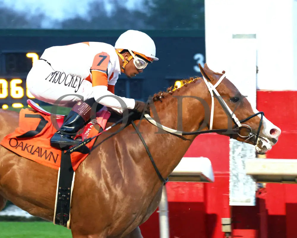 Valentine Candy - The Ozark Stakes 1St Running 02-10-24 R10 Op Tight Finish 01 Oaklawn Park