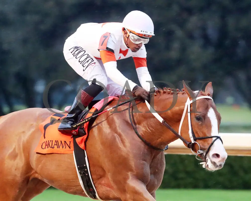 Valentine Candy - The Ozark Stakes 1St Running 02-10-24 R10 Op Tight Finish 02 Oaklawn Park