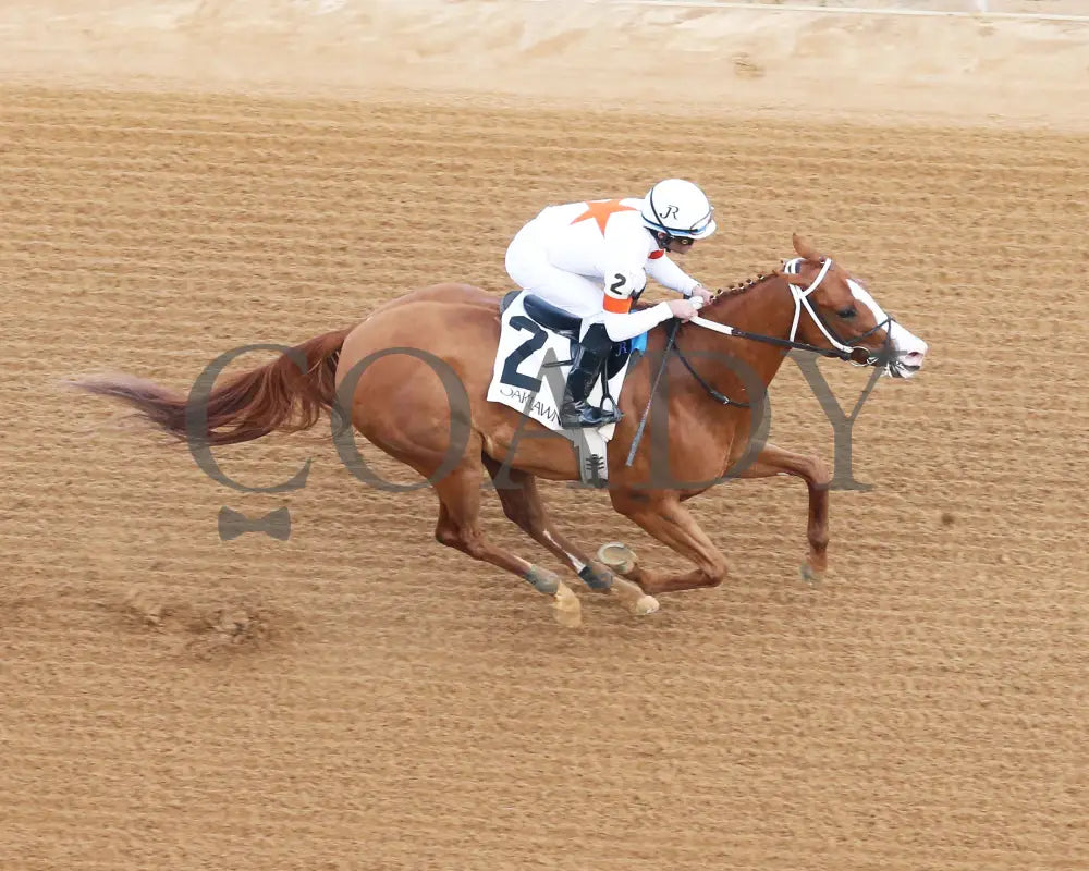 Valentine Candy - The Renaissance Stakes 2Nd Running 12-31-23 R07 Op Aerial Finish 01 Oaklawn Park