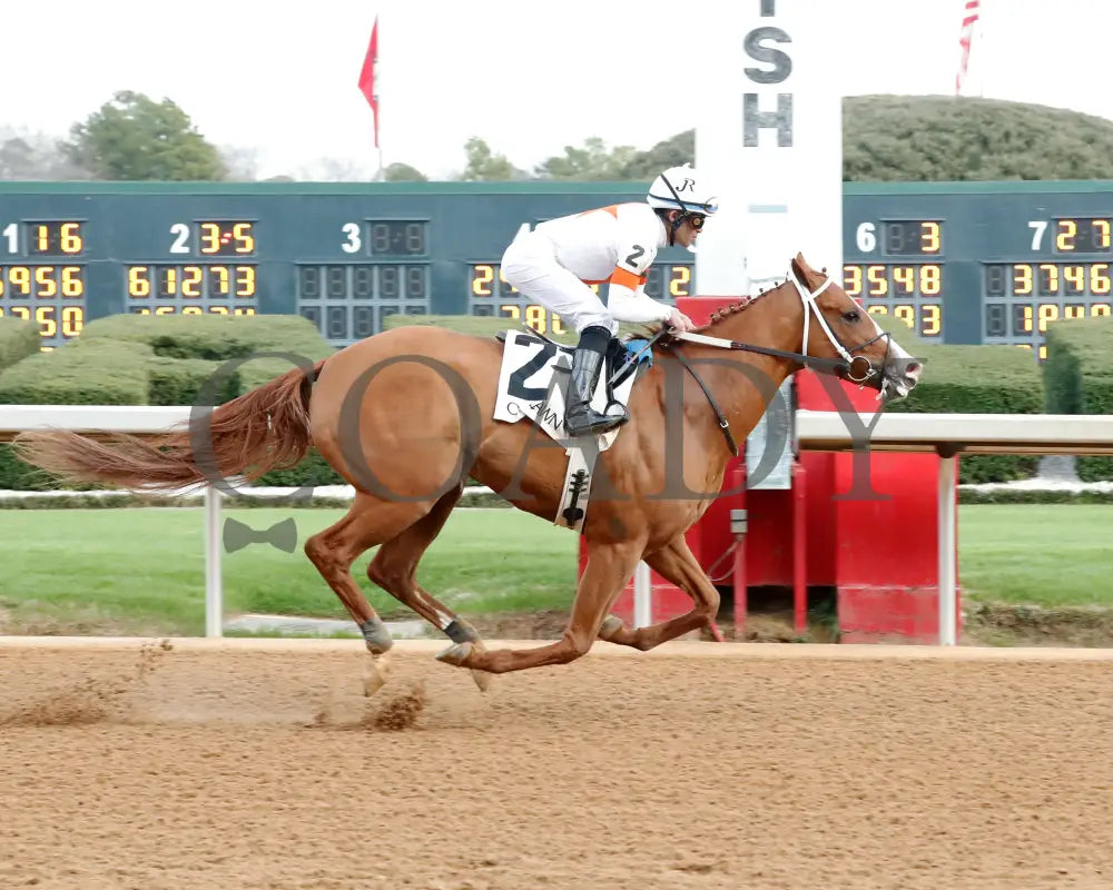 Valentine Candy - The Renaissance Stakes 2Nd Running 12-31-23 R07 Op Finish 01 Oaklawn Park