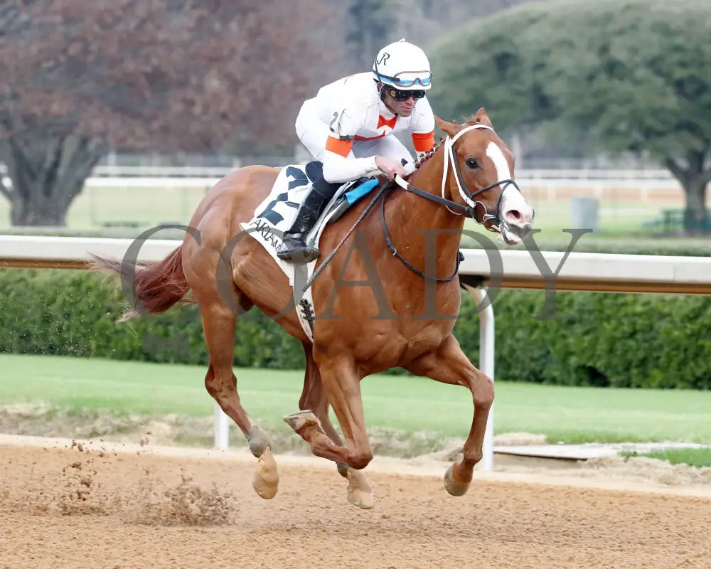 Valentine Candy - The Renaissance Stakes 2Nd Running 12-31-23 R07 Op Finish 02 Oaklawn Park