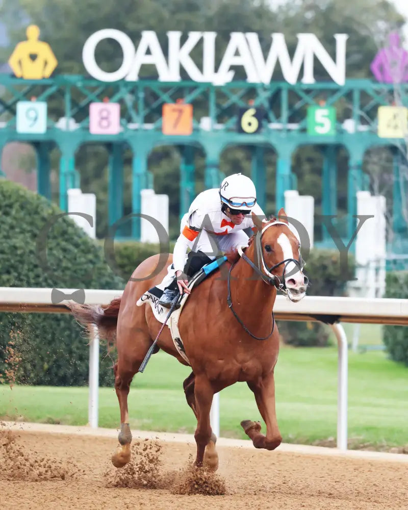 Valentine Candy - The Renaissance Stakes 2Nd Running 12-31-23 R07 Op Finish 03 Oaklawn Park