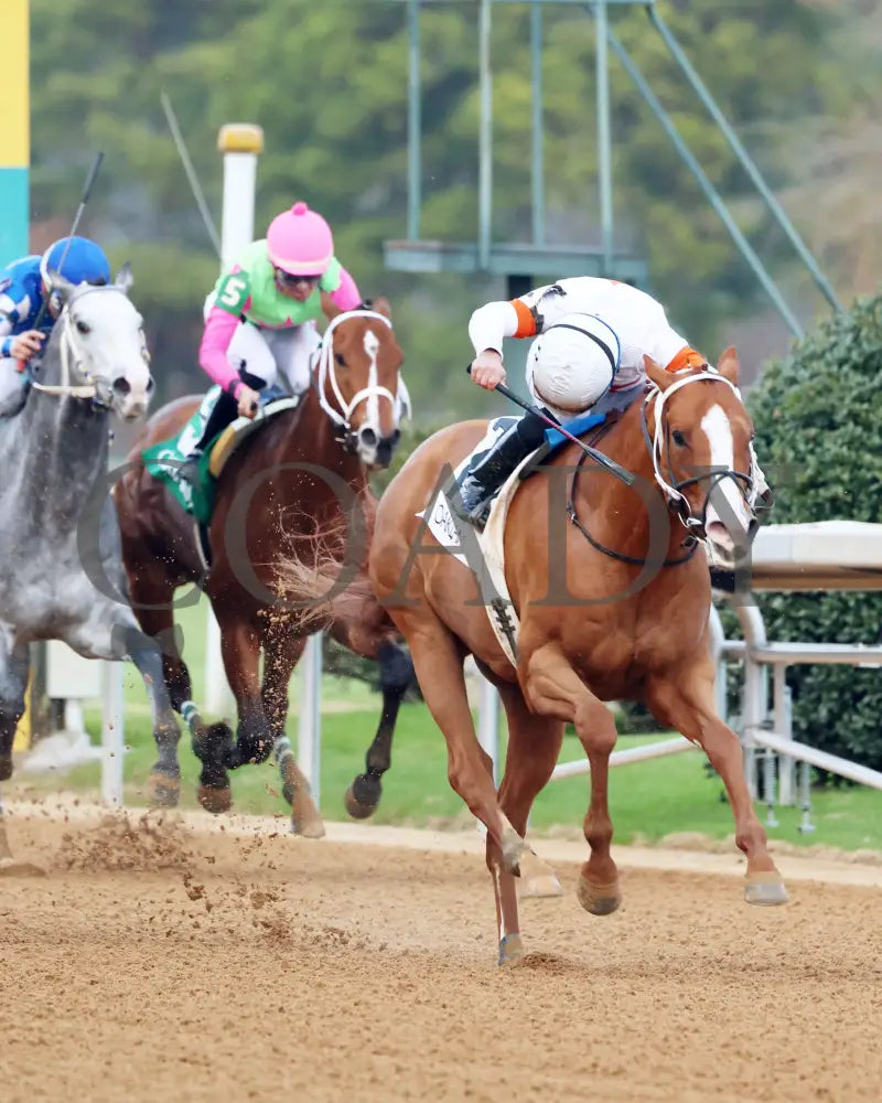 Valentine Candy - The Renaissance Stakes 2Nd Running 12-31-23 R07 Op Finish 04 Oaklawn Park