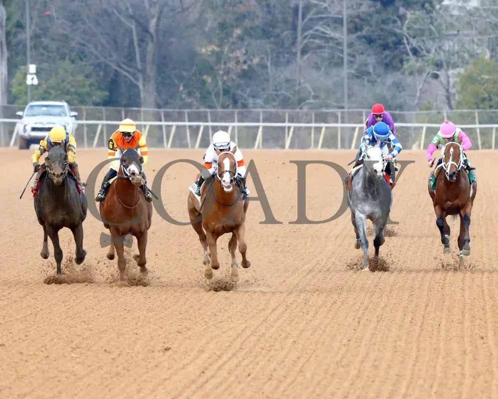 Valentine Candy - The Renaissance Stakes 2Nd Running 12-31-23 R07 Op Head On 01 Oaklawn Park