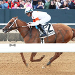 Valentine Candy - The Renaissance Stakes 2Nd Running 12-31-23 R07 Op Inside Finish 01 Oaklawn Park