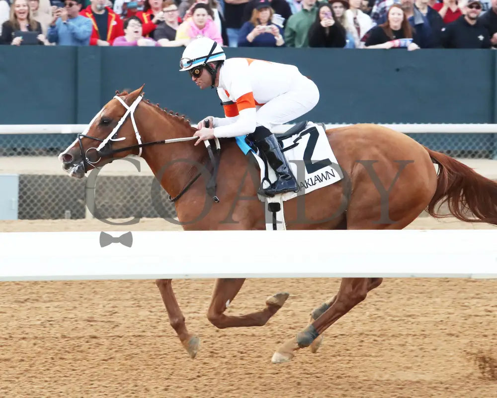 Valentine Candy - The Renaissance Stakes 2Nd Running 12-31-23 R07 Op Inside Finish 01 Oaklawn Park