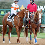 Valentine Candy - The Renaissance Stakes 2Nd Running 12-31-23 R07 Op Post Parade 01 Oaklawn Park