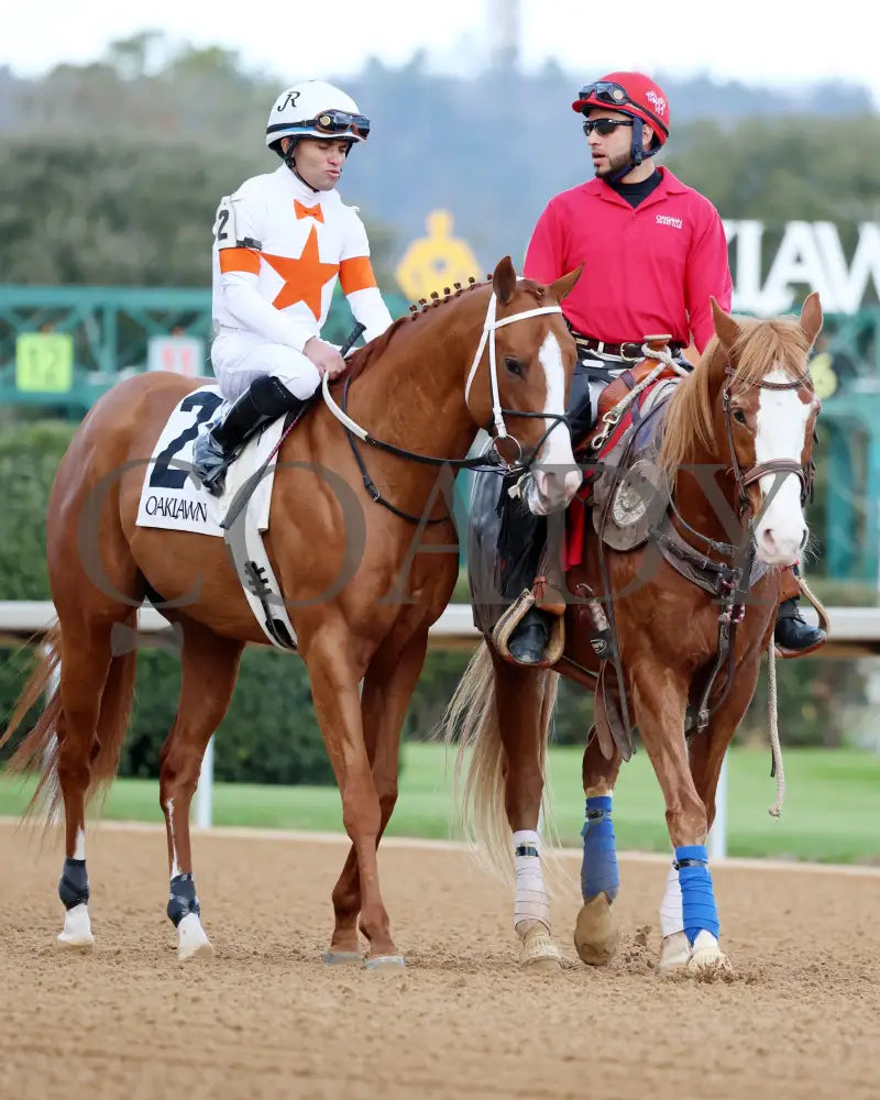 Valentine Candy - The Renaissance Stakes 2Nd Running 12-31-23 R07 Op Post Parade 01 Oaklawn Park