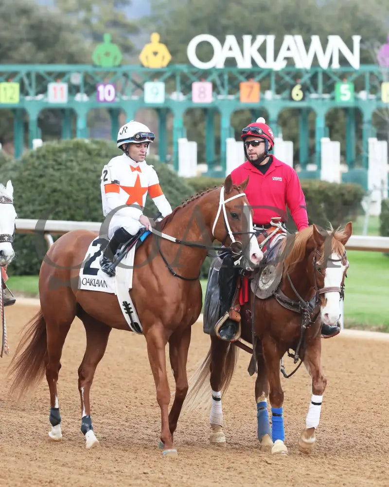 Valentine Candy - The Renaissance Stakes 2Nd Running 12-31-23 R07 Op Post Parade 02 Oaklawn Park