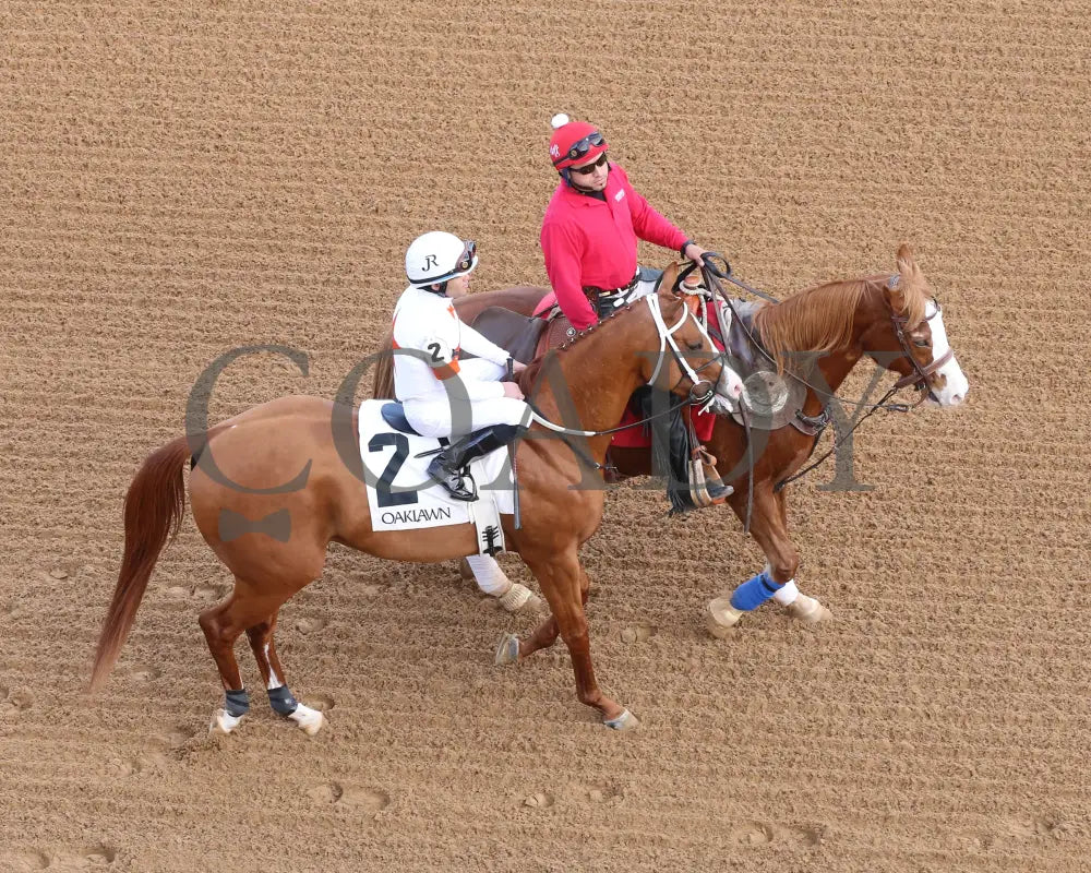 Valentine Candy - The Renaissance Stakes 2Nd Running 12-31-23 R07 Op Post Parade 04 Oaklawn Park