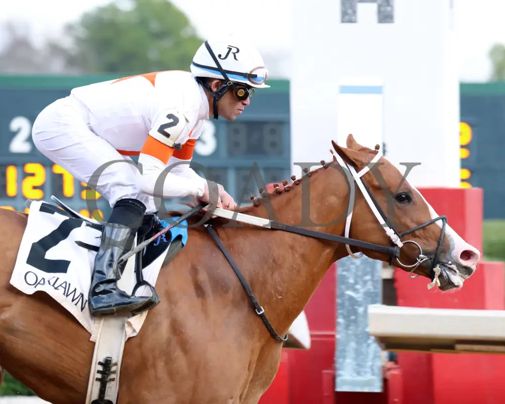 Valentine Candy - The Renaissance Stakes 2Nd Running 12-31-23 R07 Op Tight Finish 01 Oaklawn Park